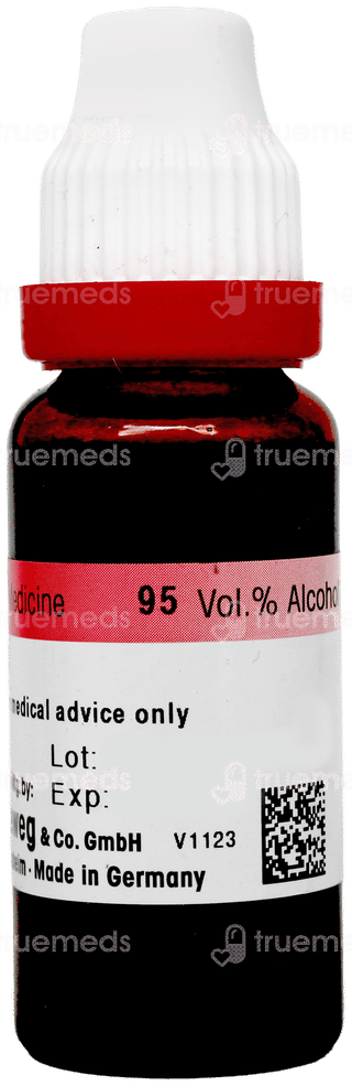 Dr Reckeweg Jaborandi Q Mother Tincture 20Ml